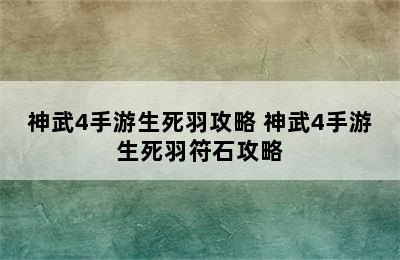 神武4手游生死羽攻略 神武4手游生死羽符石攻略